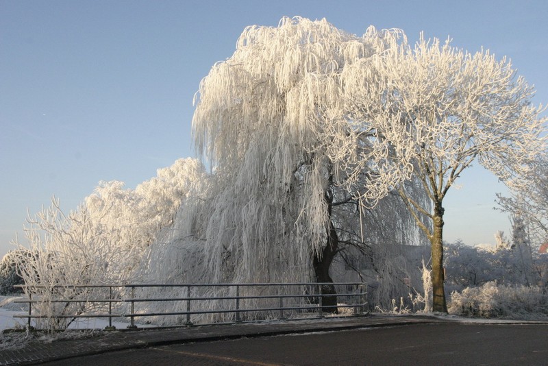 n_Linschoten. 01.jpg